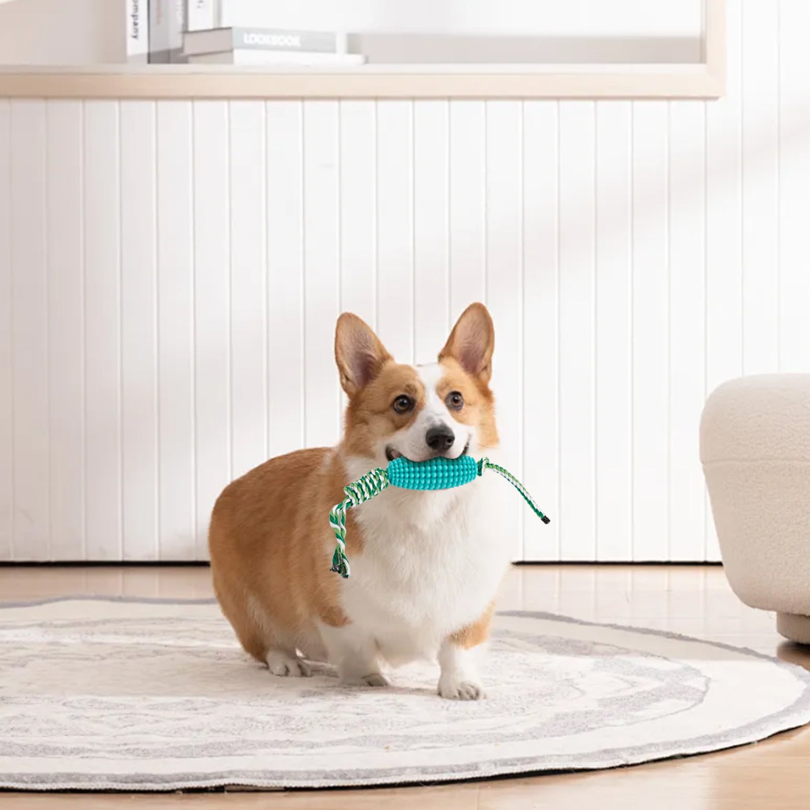 Enhance Your Dog's Dental Health with the Puppy Toothbrush Interactive Corn Toys